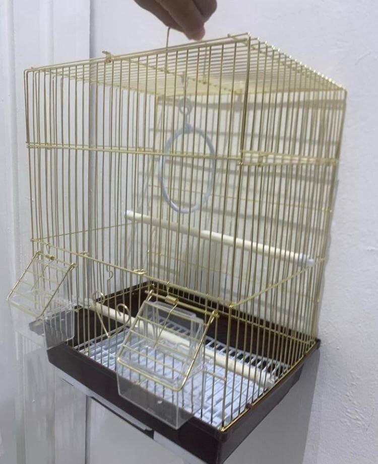 Cagees